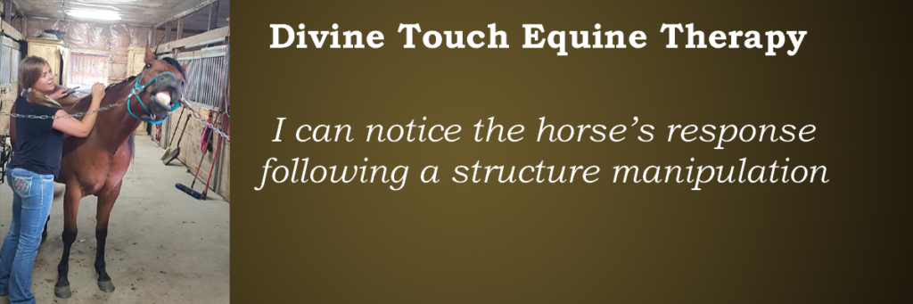 Mylene Charron Equine Therapist