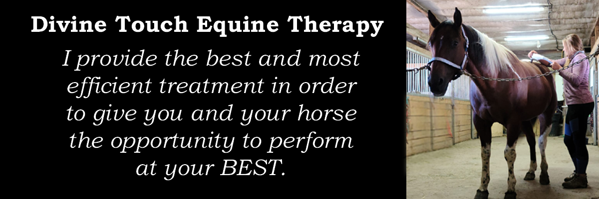 Mylene Charron Equine therapist